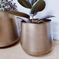Large indoor plant pot