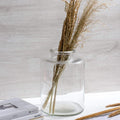Clear Glass Jars / Vases 'Amala' 