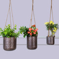 Set of 3 antique hanging planters mounted on rope