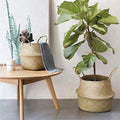 Seagrass Planter and Storage baskets 