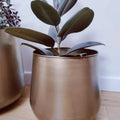 large indoor plant pot with brass finish mytridesigns